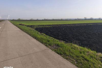 Teren de 9300 mp, în Satu Mare - 2