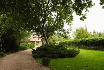 Teren de 800 mp, în Central - 5