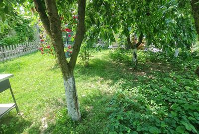 Casă cu 3 camere în Central - 8