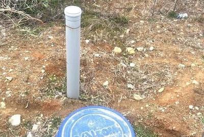 Casă cu 1 camere cu Teren 1142 Mp în Curtișoara - 4