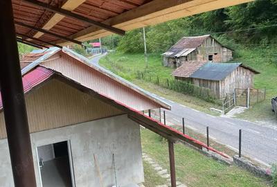 Casă cu 3 camere în Criș - 2