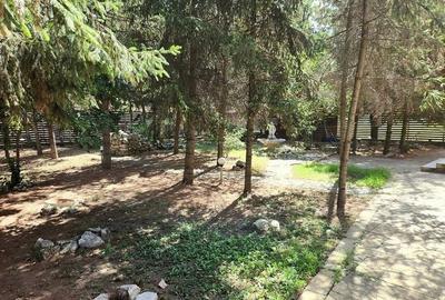 Baneasa Teisani vila 7 camere teren 1000 mp - 5