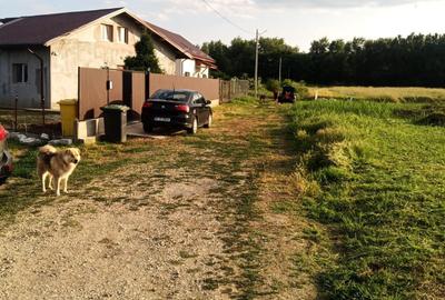 Spațiu comercial, în Țegheș - 5