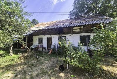 Casa , teren intravilan Urlueni Barla Arges - 20