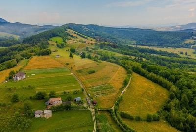 Comision 0 %/Teren intravilan 11.600mp Poiana Marului / Natura/Poveste - 9