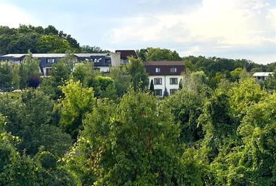 Vila eleganta de inchiriat in Copou - 16