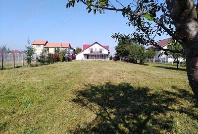 Vand Casa 5 camere, 3 bai, P+M, 1800mp, 420000euro - 4