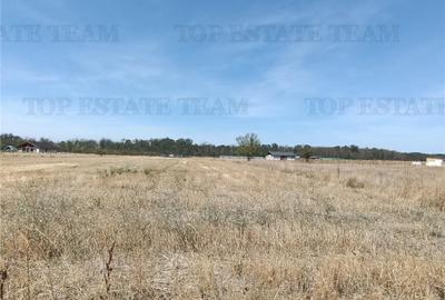 Teren intravila de / Pruni/ Magurele - 3