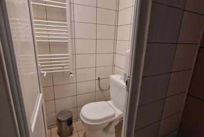 Spațiu comercial, de 100 mp, în Podu Roș - 18