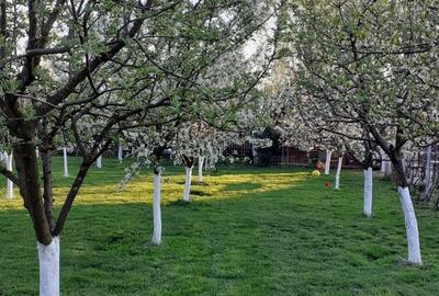 Casă cu 4 camere în Săbiești