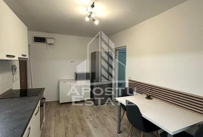 Apartament cu 2 camere, mobilat în Iosefin - 2