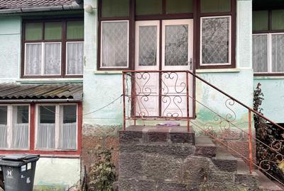 Casă cu 4 camere în Bixad - 4