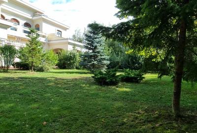 Refugiu Exclusivist – Armonie între Natură și Arhitectură - 2