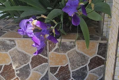 Apartament cu 2 camere semidecomandat în Cantemir - 2