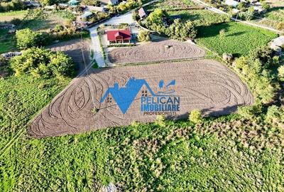Teren de 6000 mp, în Sarinasuf - 10