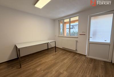 Vila individuala de inchiriat in Timisoara – zona Freidorf - 33