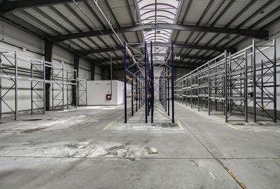 Hale Industriale Premium în Arad suprafete intre 727-1857 mp, Pret Nou - 7