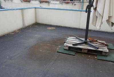 Pache Protopopescu-Agricultori-Matasari Pache Protopopescu-Agricultori-Matasari - 22