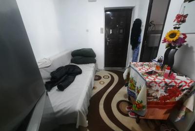 VANZARE GARSONIERA SEBASTIAN- RAZOARE - 4