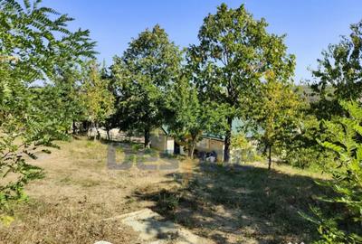 Casă cu 4 camere cu Teren 6400 Mp în Hărpășești - 15