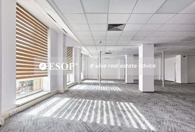 Central Business Park, Marasesti, 273 - 2160 mp 0% comision! - 6