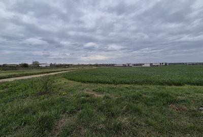 Teren intravilan Izvorani - Delta Snagov - 1