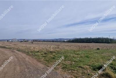 Teren Intravilan de 4600 mp de vanzare in Sibiu Strada Coralului - 3