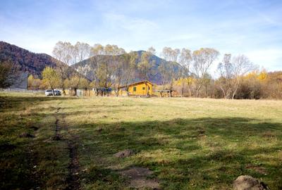 Teren Construcții intravilan de 2500 mp, în Tohănița - 13