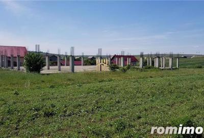 Teren 6500 mp - cu fundatie turnata si Autorizatie de Constructie! - 3