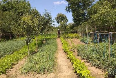 Casă cu 3 camere în Gălești - 9