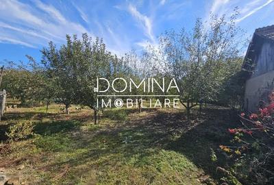 Teren de 308 mp, în Bălești - 6