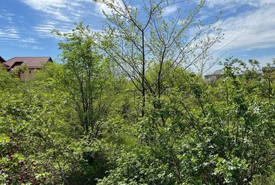 AUTORIZATIE DE CONSTRUIRE Pantelimon -Lebada- str. Sinaia, teren 24.750 mp, dubla deschidere 56 m 6m - 2