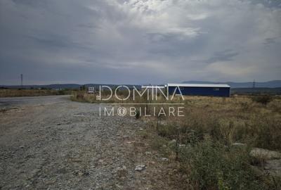 Teren intravilan - 1070 mp - str. Ciocarlau - spre Preajba - 3