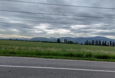 TEREN DE INCHIRIAT IN SUPRAFATA DE 2,8 HA IN ONESTI