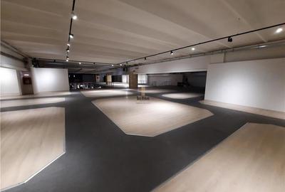 Spatii Comerciale - 500 mp - Showroom - Comert
