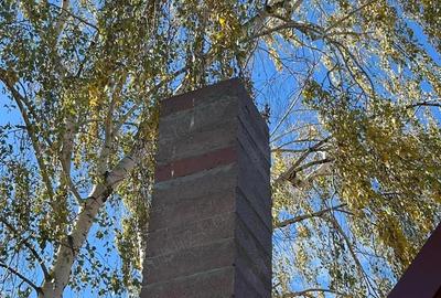 Casă cu 2 camere cu Teren 1100 Mp în Biharia - 8