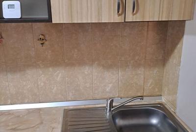 Apartament cu 2 camere semidecomandat în Craiovița Nouă