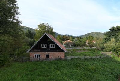 Casă cu 4 camere în Ceahlău - 3