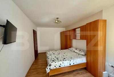 Apartament cu 1 camera, Someseni - 2