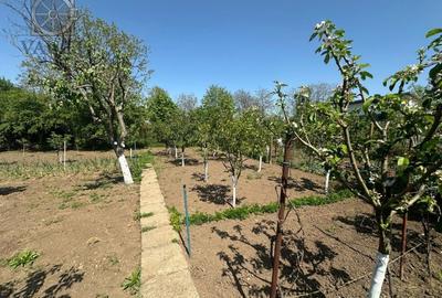 Casa -  Mogosoaia - Individuala - - 16