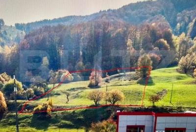 Teren de 12000 mp, în Central - 2