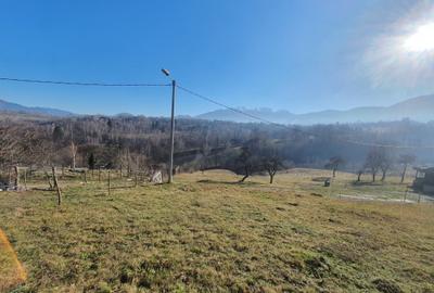 Teren rezidential zona Bran Tohanita zona de case - 4