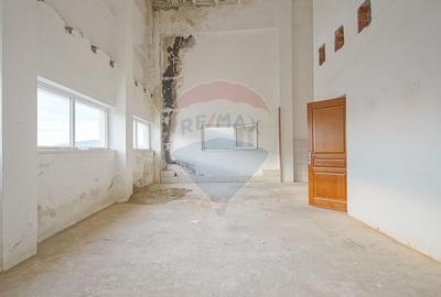 Spatiu industrial de 494mp de vanzare in zona Uzina 2 - 12