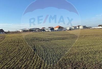 Teren 6,200mp Simnicu de Sus / None