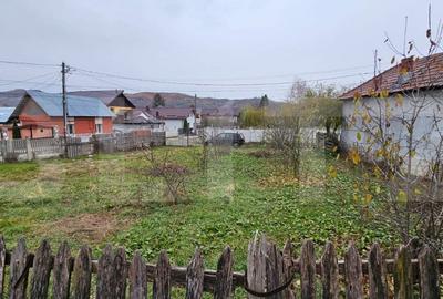 Rate lunare Casa cu anexa 130 mp in Branesti 1200 mp de teren nivelat! - 19