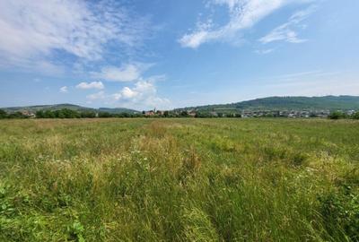 Teren de 1800 mp, în Gușterița - 3