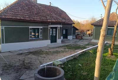 RECO Casa cu teren mare in Tulca - 2