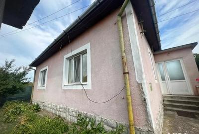 Casă cu 4 camere în Păușa - 6