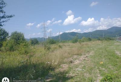 INVESTITIE ! Intravilan industrial 34 ari Zona COMBINAT,2500 E ar - 6