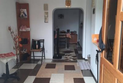 Casa BCA si chirpici Viile Noi